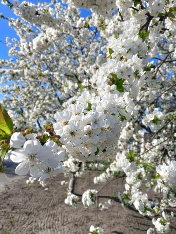 ��, �����, �����-������