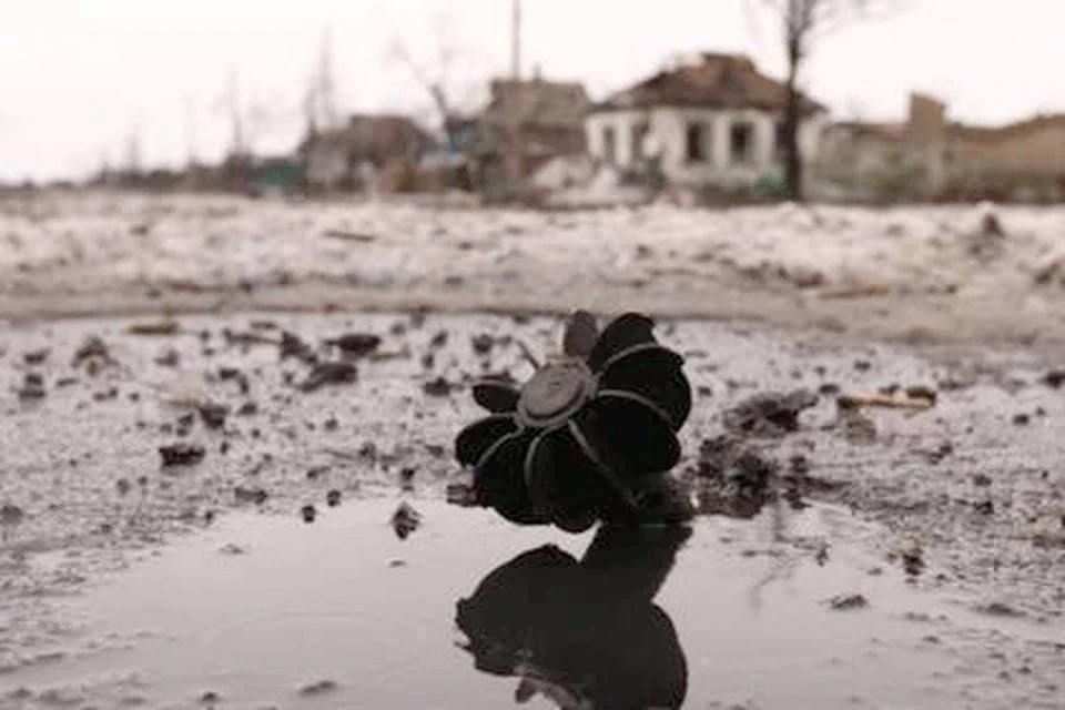 � ���������� ������� �� ��������� ��� ������� 12 �����