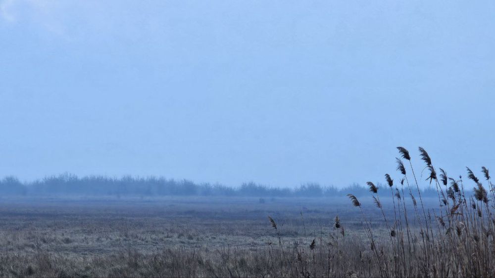 В Херсонской области 22 апреля ожидается туман