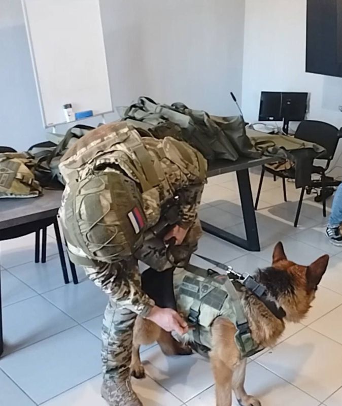 ЗооДрузья, рады сообщить и даже показать: