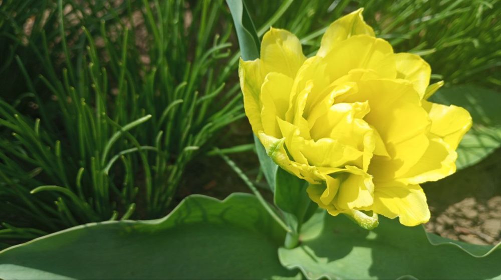 Доброе утро, Малокаховка!. Вторник, 22 апреля, дарит нам солнечное настроение и весеннее тепло! Сегодня воздух прогреется до +23°C — самое время улыбнуться новому дню и зарядиться энергией! Пусть этот день будет: