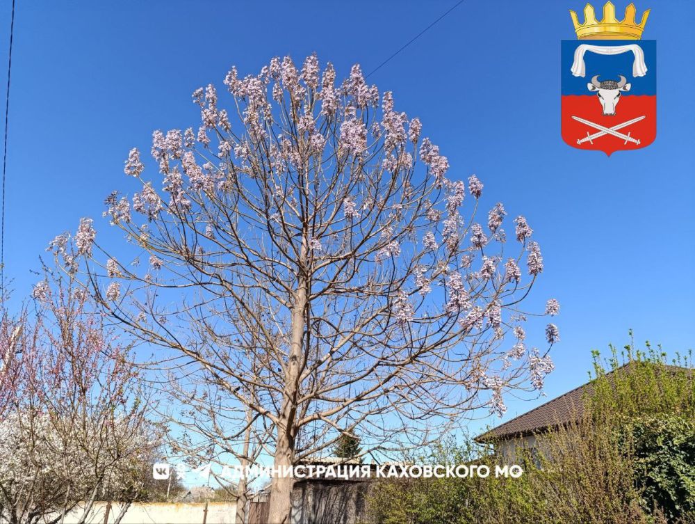 Доброе утро, жители Каховского муниципального округа!