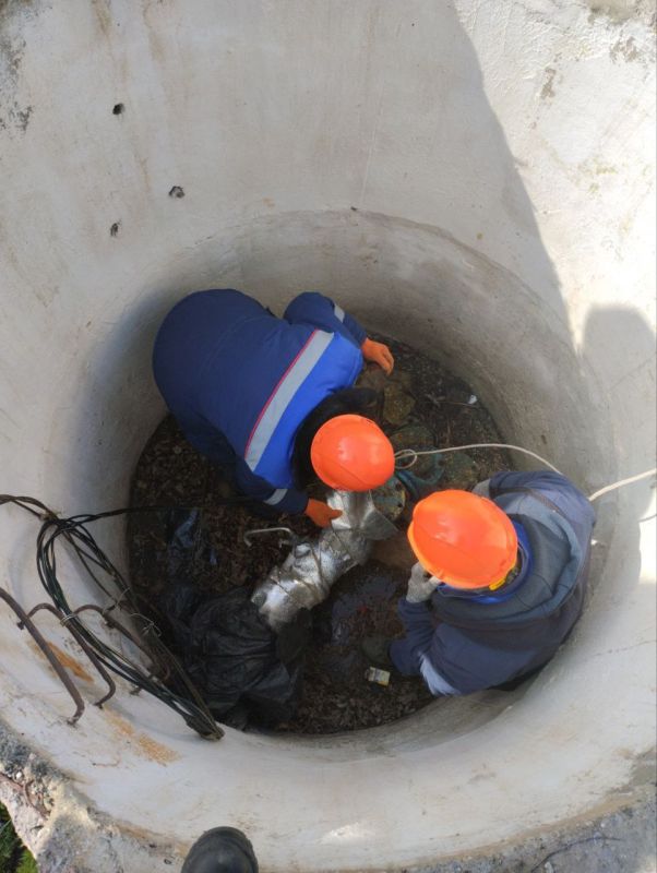 ����������� ��������������� ��� ���������� ���������� ����� �� ������������ � ������� ������������� ��������������