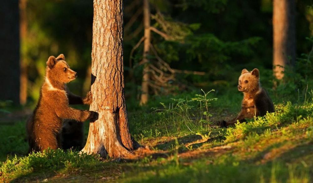 . Всегда есть время все осмыслить , Остановится и понять