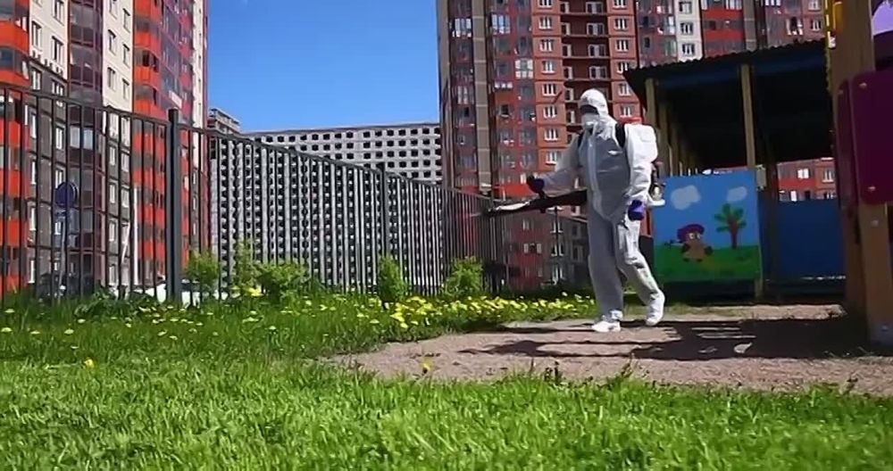 Более 1,6 миллиона россиян привились от клещевого энцефалита в 2025 году