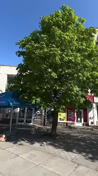 Доброе утро, Херсон!. Подпишись на Херсон.ру