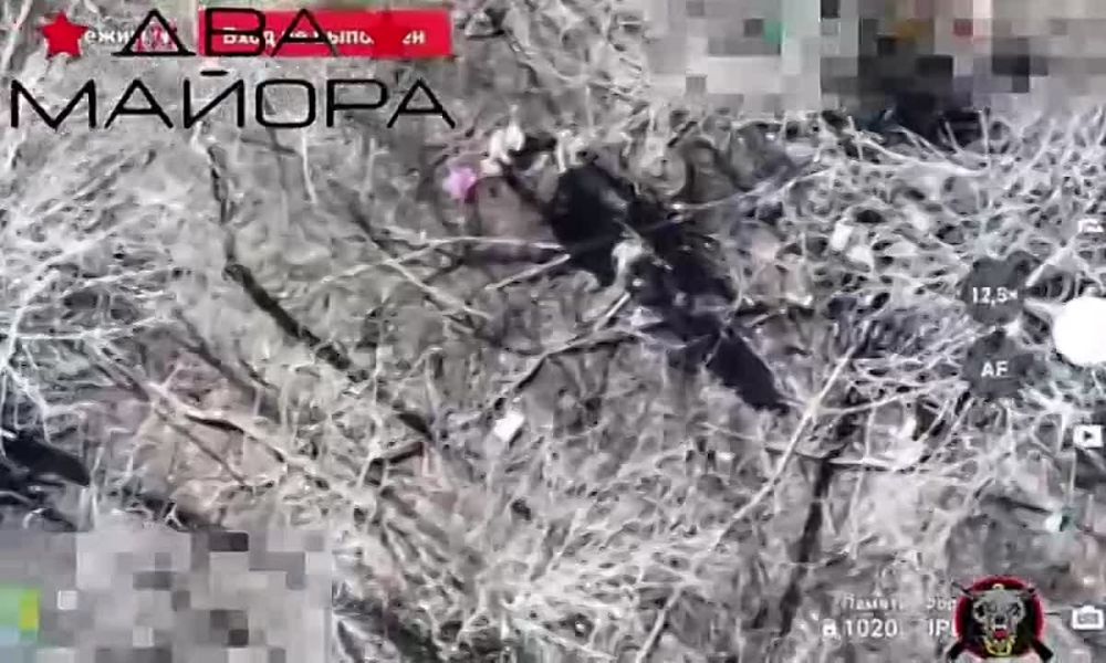 ��� ������: #������ �� ���� 23 ������ 2025 ����