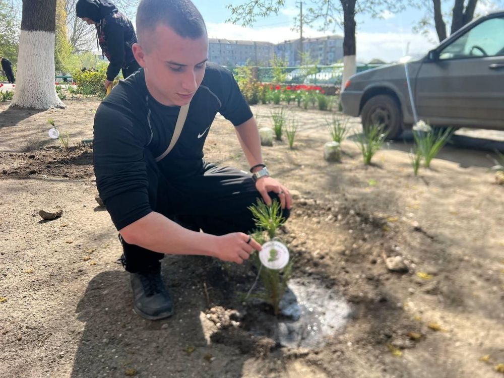 Участие студентов Генического строительного колледжа во Всероссийской акция «Сад памяти»