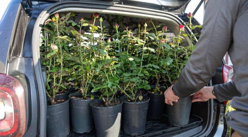 ��������� ������� ��������� 50 ��� ��� ��������������� ��������� � ���������� �������