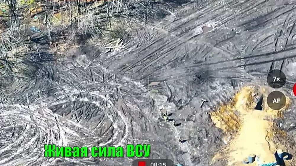 ���� �� �������: ����� ���� �� ����������� �����-������������ ����������� ������� ��������� � ������� �������