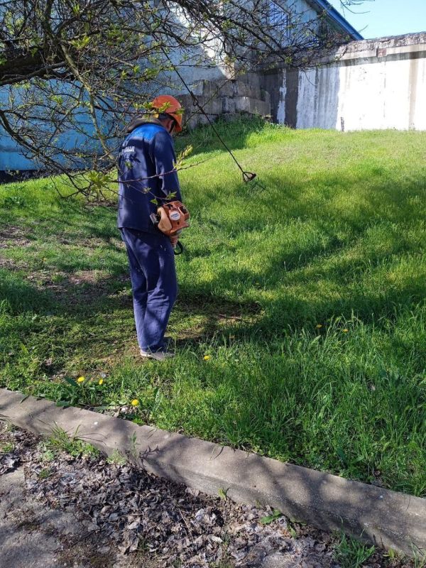 ��������� ����������� ��� ������� ���������� ���������������� ����������