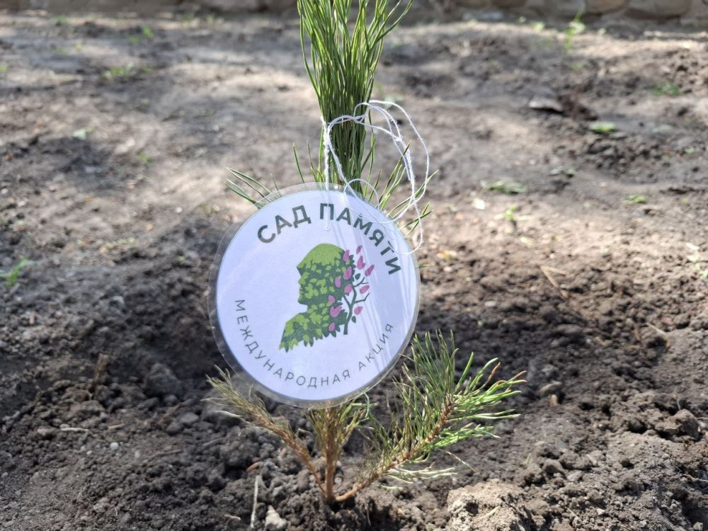 Память оживает!. Генический строительный колледж с гордостью присоединился к международной акции "Сад памяти", посвященной 80-й годовщине Победы в Великой Отечественной войне