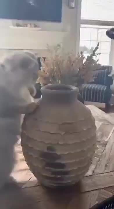 ����� ������� - �� �������, ��������� �����! - ������ ���� ��������� �������