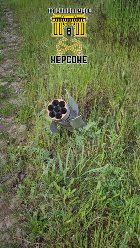 Бескрайние просторы Херсонской области