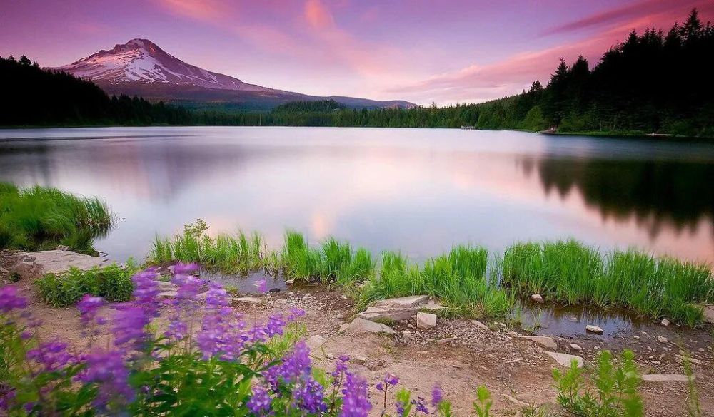 . Под белым парусом желаний , Летит мечта моих надежд