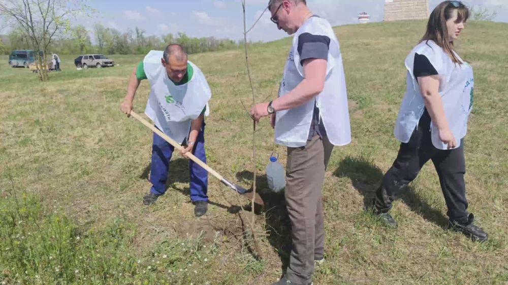 На месте гибели партизан высадили «сад памяти»