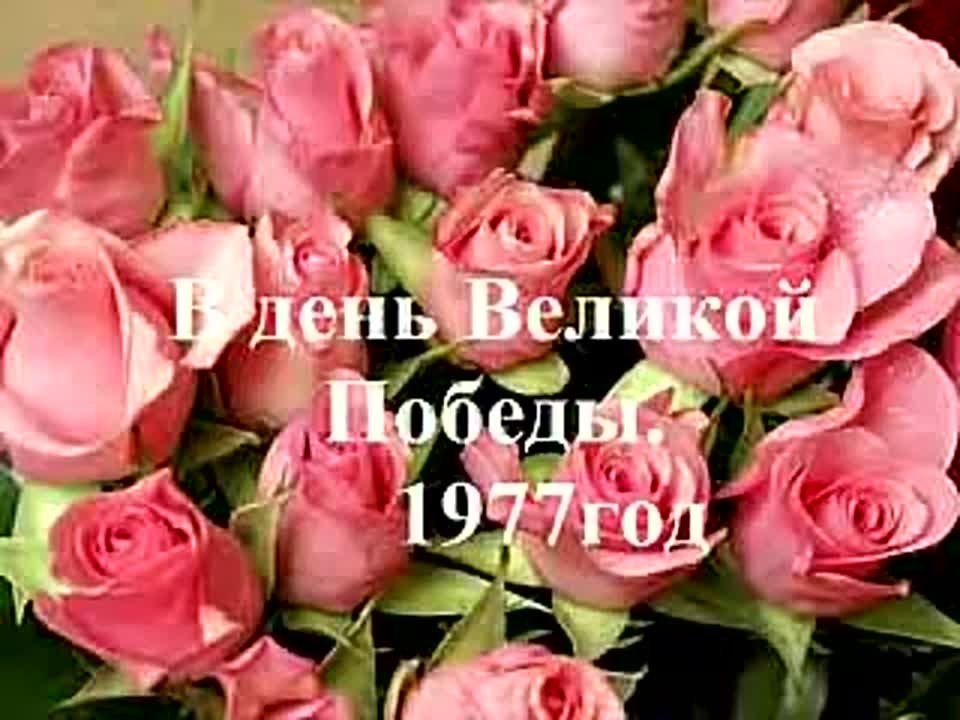 ������� ������� � ���� �������� ����� � ������������ ������� ������ � �������