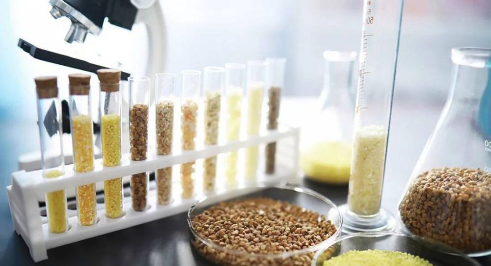 В Херсонской области стартовала первая лаборатория по контролю качества семян