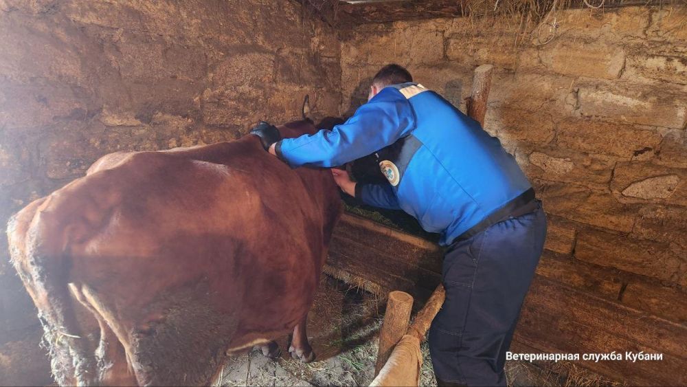 ��������� ���������� ������� ���������� ��������� ����� � ���������� �������