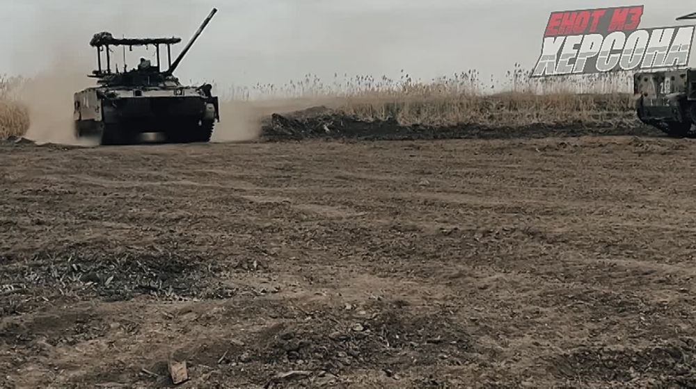 Енот из Херсона: На одном из полигонов группировки войск "Днепр" в зоне проведения СВО ежедневно идет интенсивная боевая подготовка экипажей БМП-3