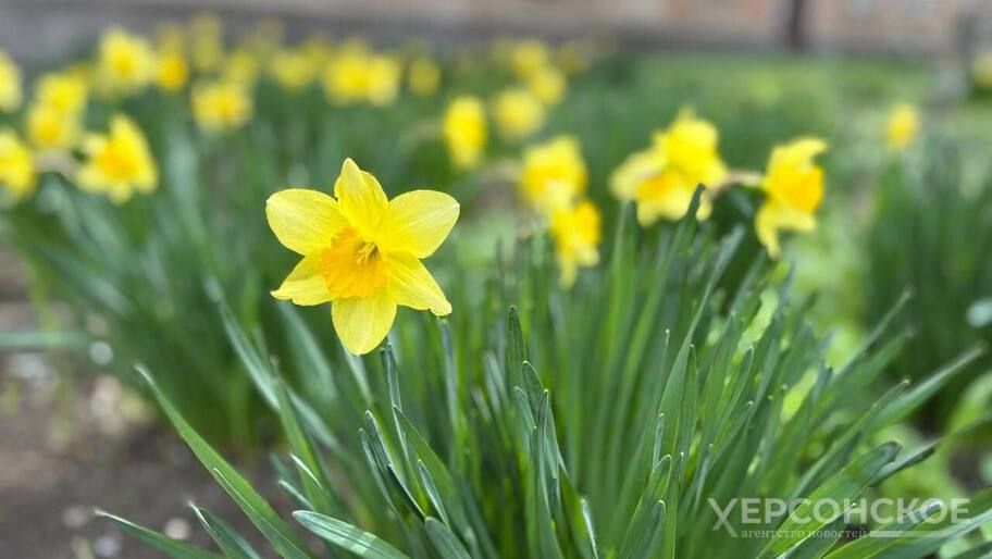 � ����� ������� �������� 17 ����� ������