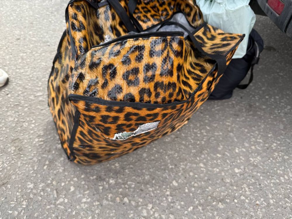 ���� �� �������: ������� ����������� ��������