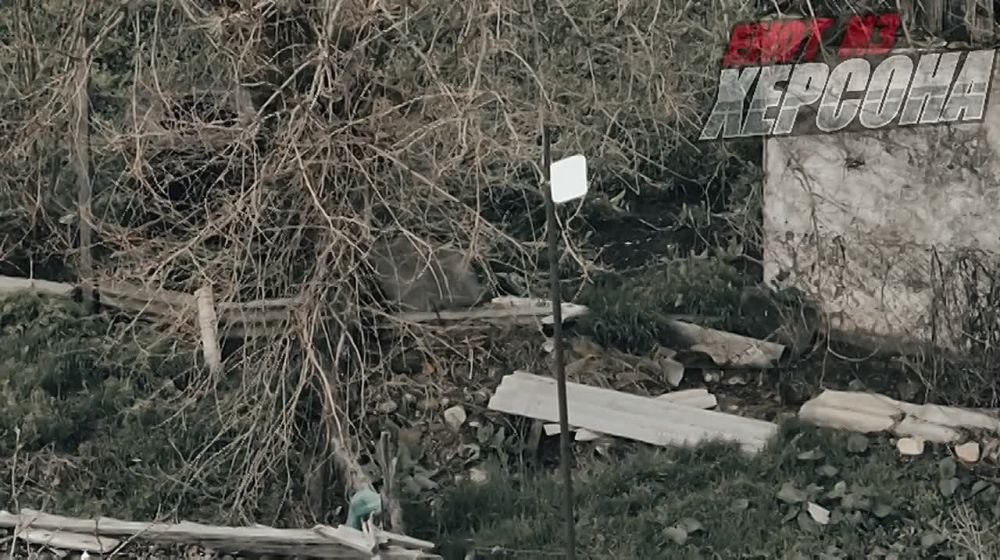 ���� �� �������: ��������� ��� ����������. ���������������� �������� ������� �� ������������ � ���� ���� ������� ������� ���