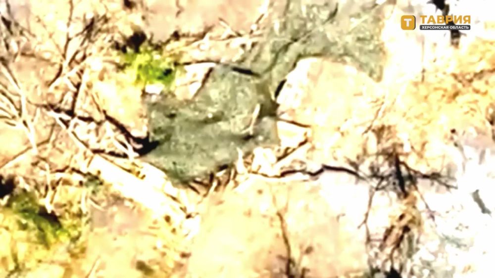 ��������� FPV-������ 42-� ����������� ������� ����������� ����� "�����" ���������� ������� ������� ���