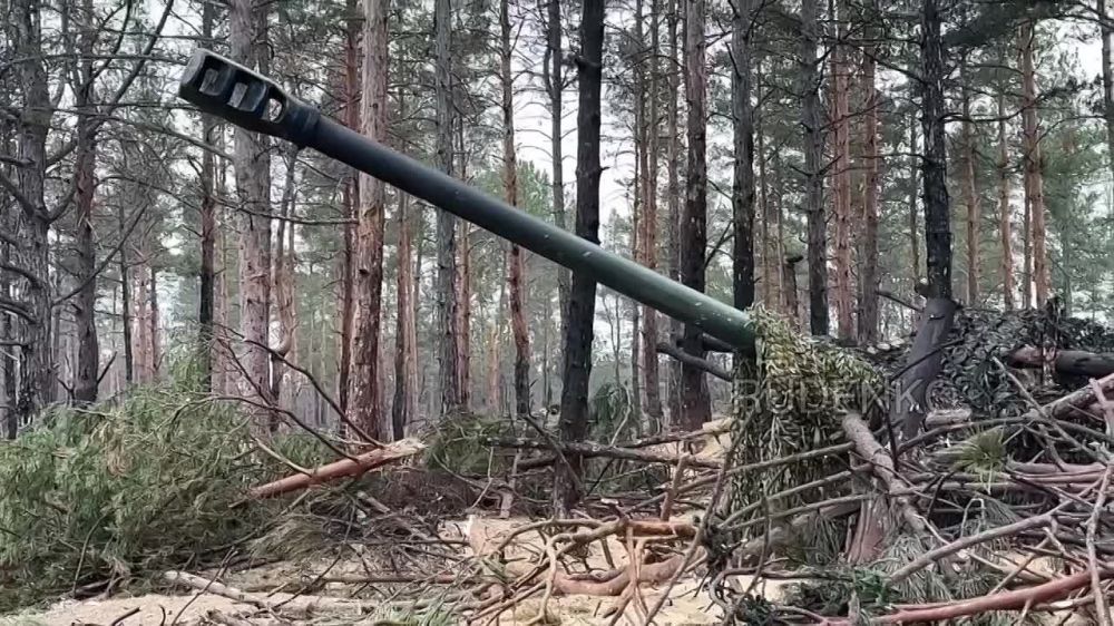 ���������� ����������� ������ ������������� ���������� ��� �� ������ ������ ������