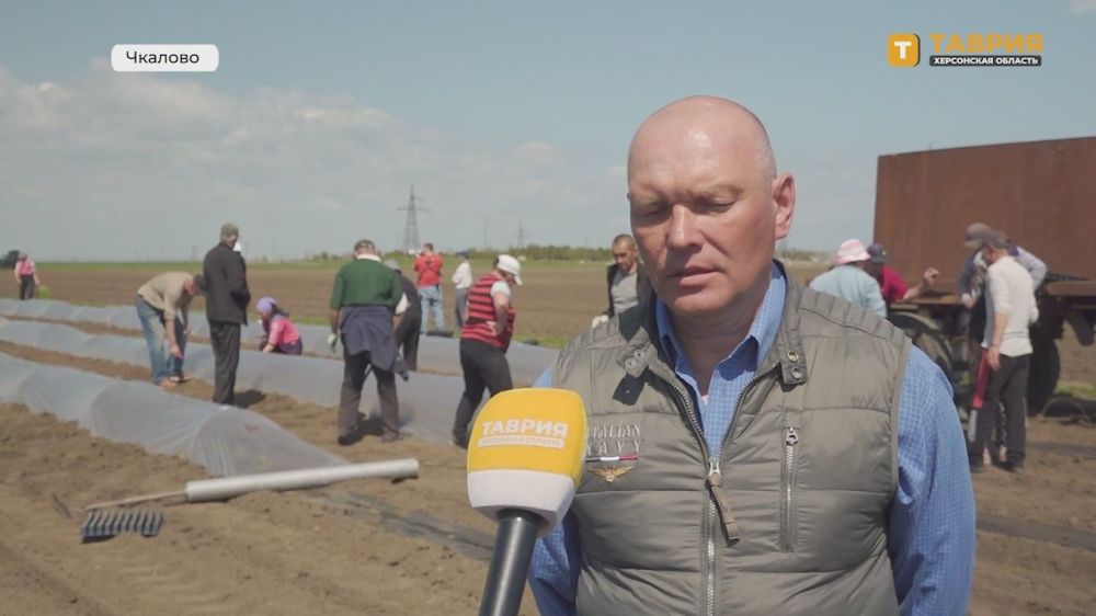 ������������ ��� ������� ���������� ������ ������� ������� � ���������� ������� �� 15% �� ��������� � 2024 �����