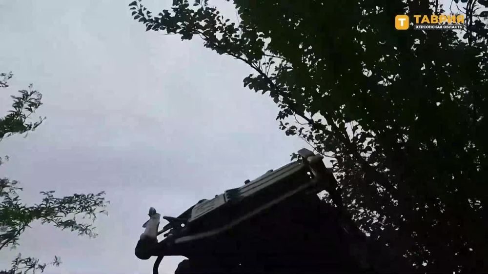 "�� �������� ����������� ����������� ���": ���� ��� � �������� "����" ��������� ������ ������������ ���������������