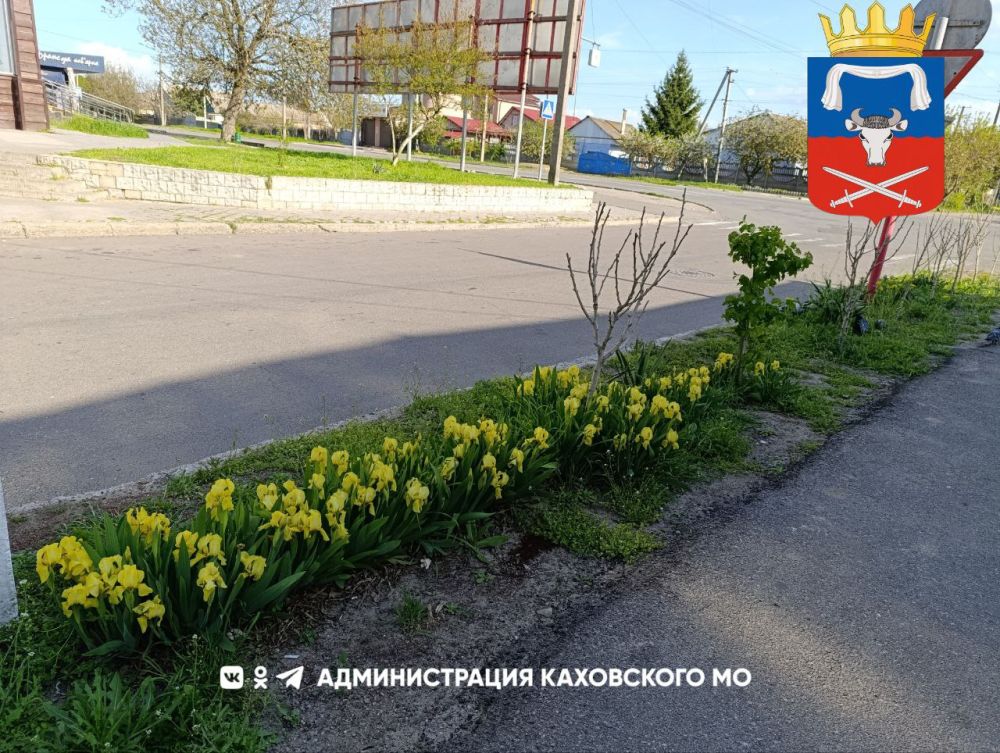 ������ ����, ������ ���������� �������������� ������!