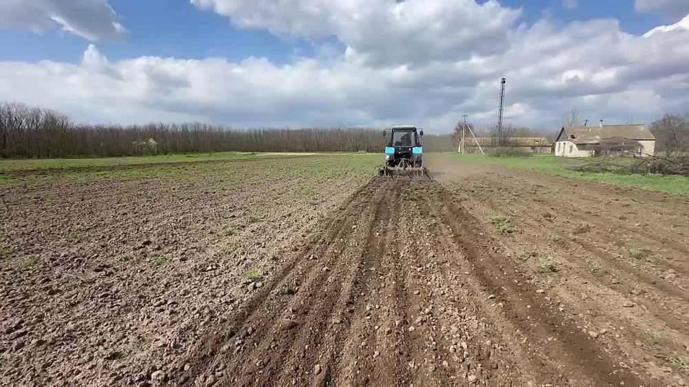 ��������������� ������ �������� �������������� ���������� ����� � ���������