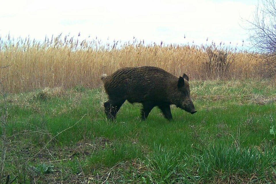 ����� ������, ����� � ���� ���� �������� � ���������� �������