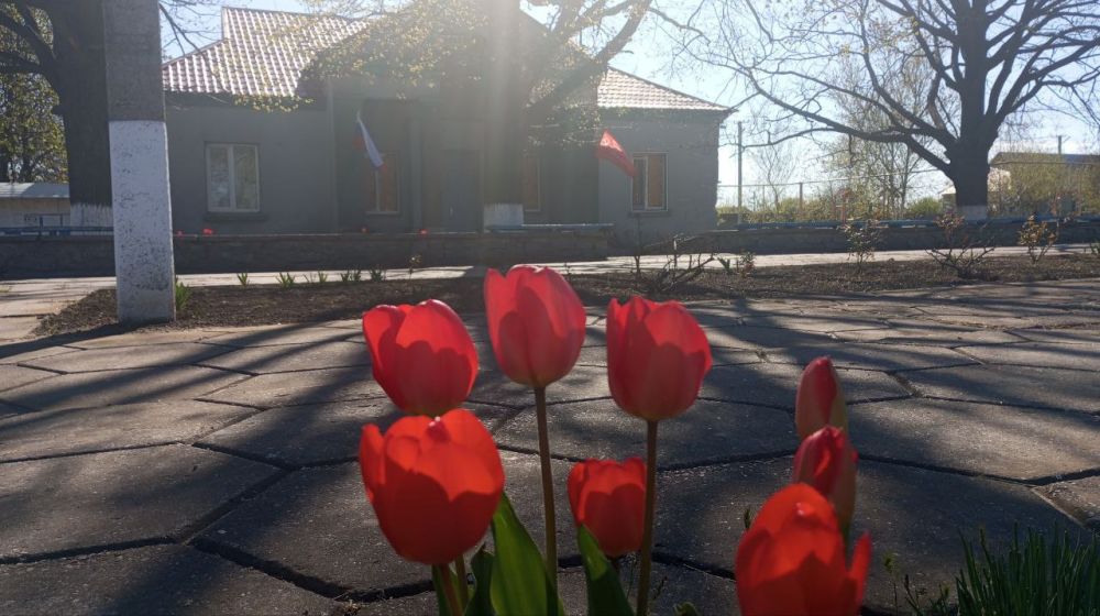 ������ ����, ������ ���� �����������!