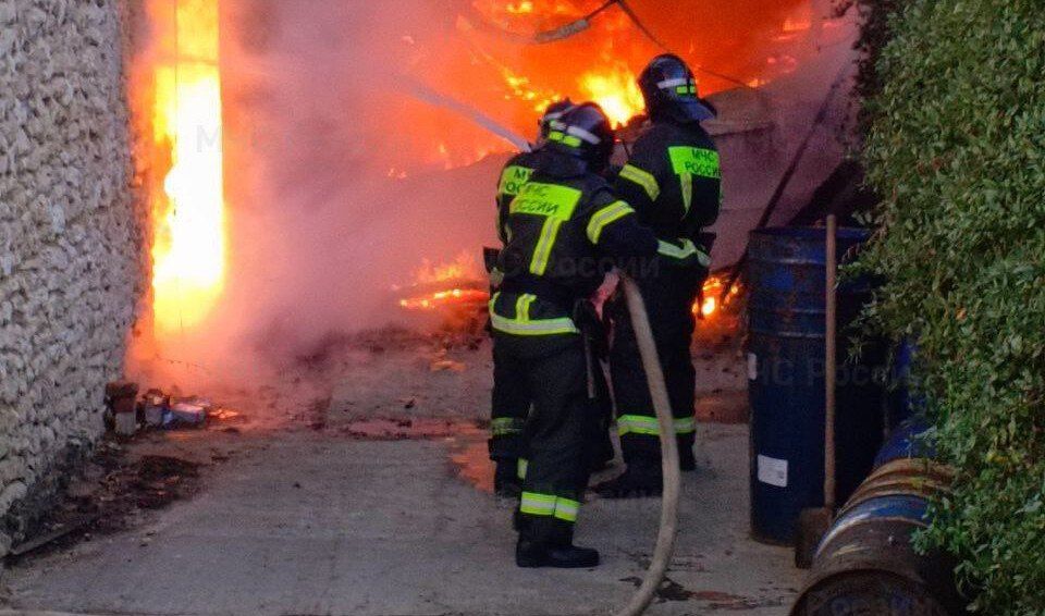 �� ����� � ���������� ������� ������������ ���� ����������� �����