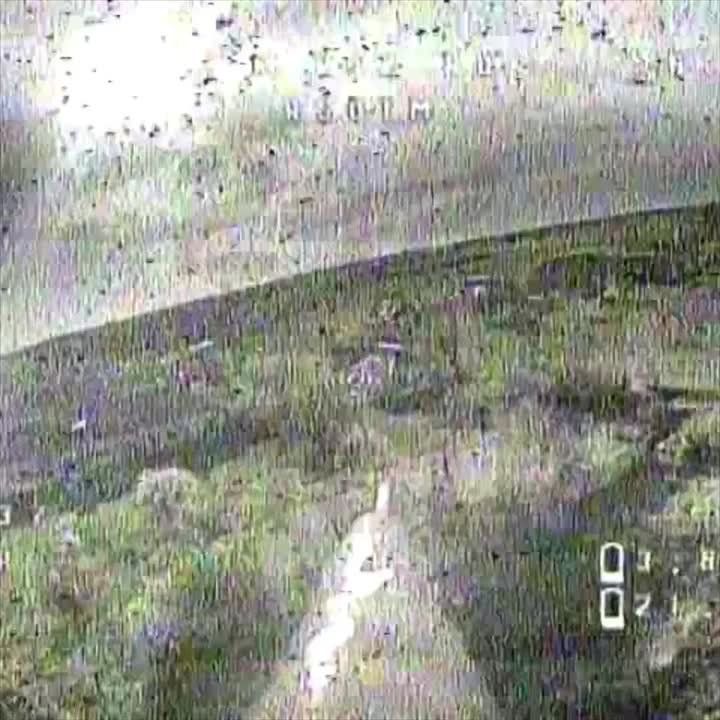 FPV-����� 242 ��� ���������� ����������� ����������� � ��� ���������