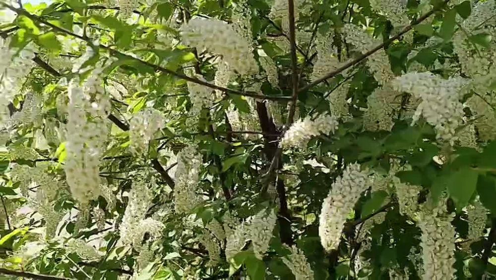 ���� ������� � ���������� ���� � �������� ������������� ���������� ������� ������!