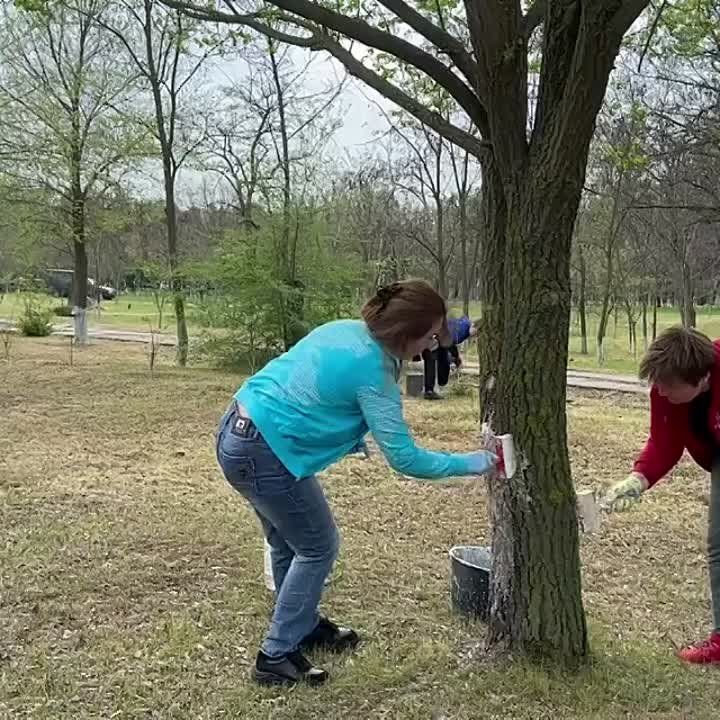 ������������� ��������� � ��������