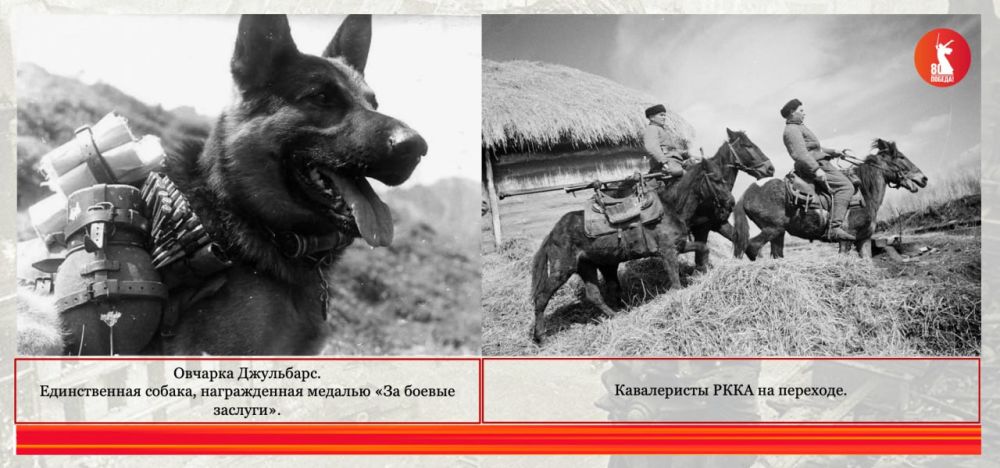 ������������ ����� � "������ ������" � ���� ������� ������������� �����