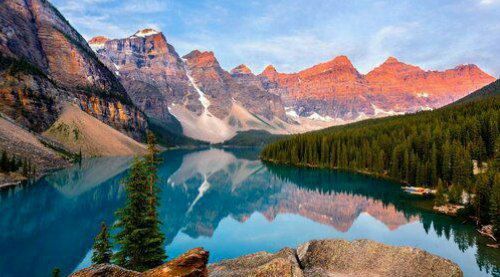 . ����� �� ��������� ������� , �� ������� ��� �������