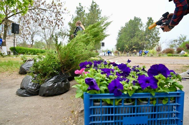 ������ ������� �� ������, �������� � ������: ���������� ������� ������������� �� ������������� ����������