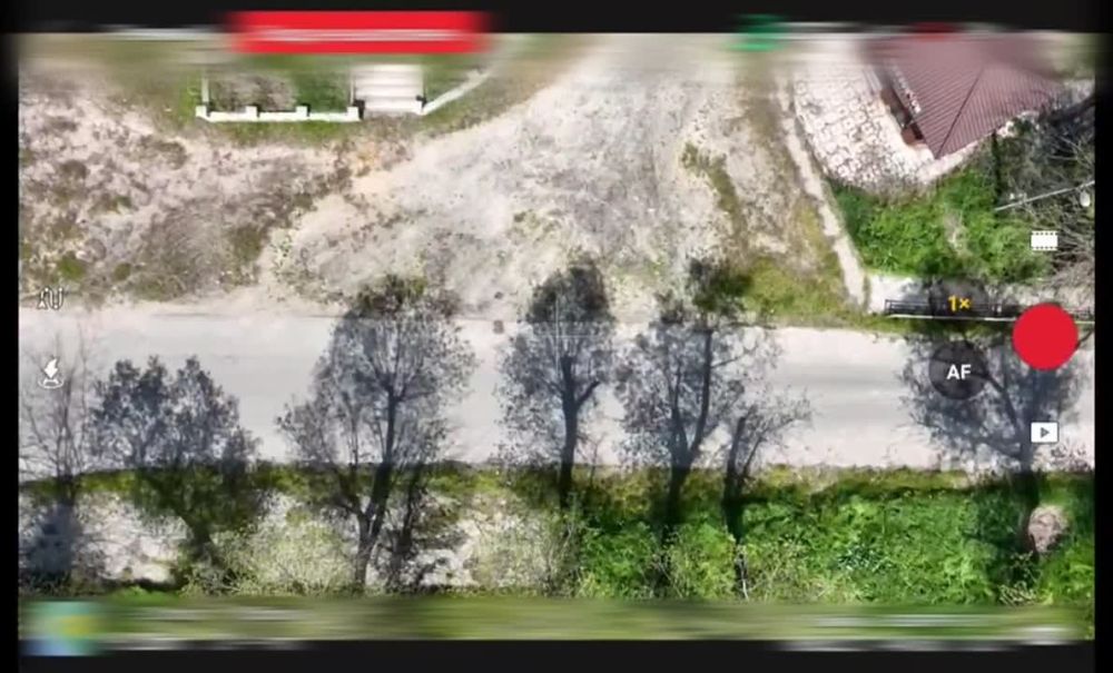 ���������� �����������. � �������� ����������� ����� ������� �������������� �������������� ��� ����� �� �����������