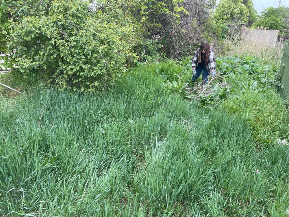 ���������� ���������� ����� "����������� �����" ������� ������ ������� ���������� ���������