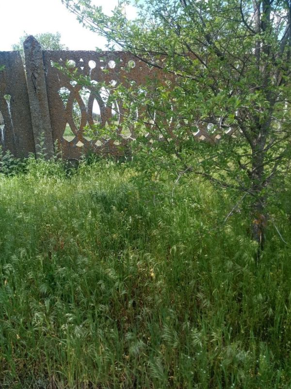 ### ������� ��������� ������ "������ ������" � ������������� ����������