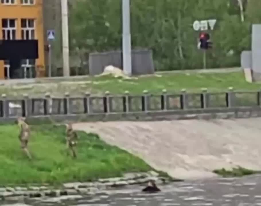 � �������������� �������� �������, �������� �� ��������� �� ���, ������� � �������� ���� ���� ������