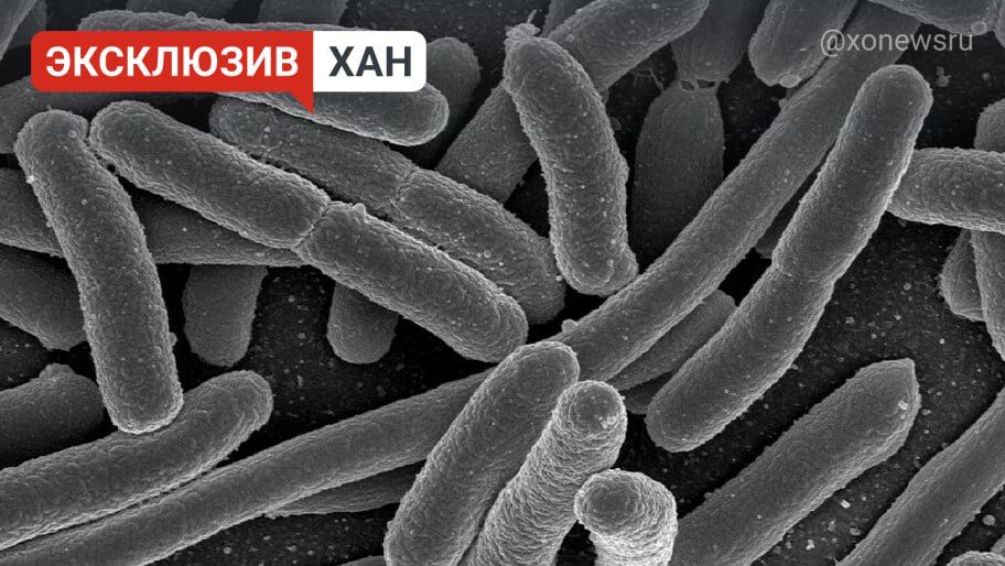 �������� ���������� ������� ����������� �� ������������ ������ � ������ ����� ����