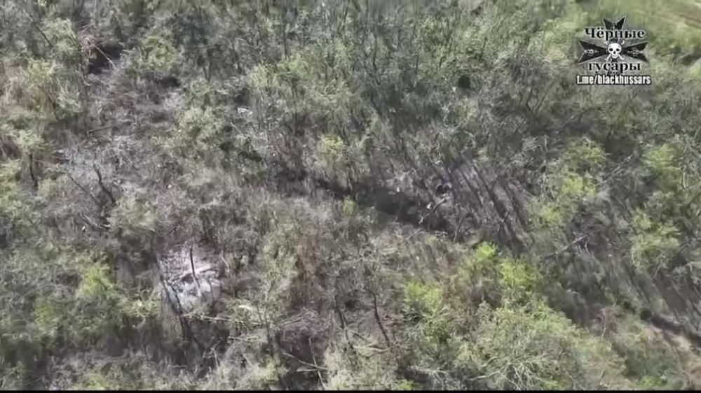 ���������� �������� FPV-����� � �������� ������� ���������� ������ ���������� �������������� �� ���������� �����������