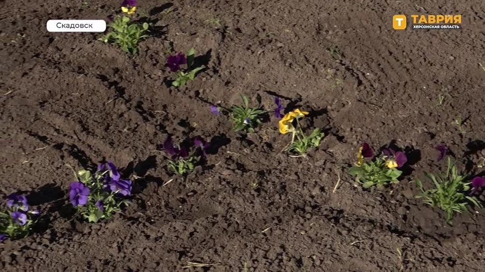 ��� "������" � ���������� ���������� ����������� ������ �������� � ������ ������� ������� �� ������������� ����������