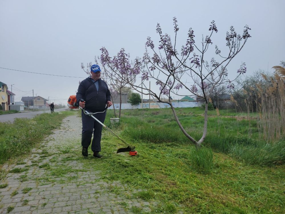 Работники администрации ТУ "Лазурное" и МБУ "Джарылгач" приняли участие во Всероссийском субботнике
